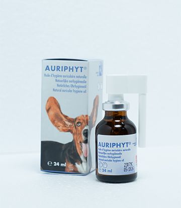 Auriphyt